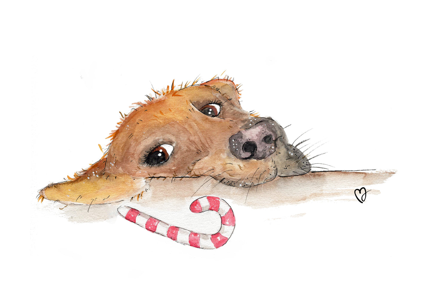 Hund