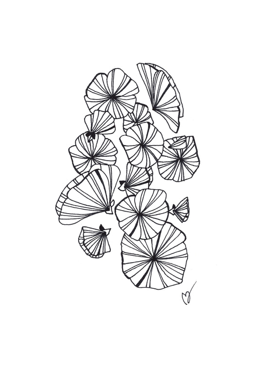 Line Art Blomma