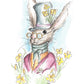 Mr Francis Rabbit