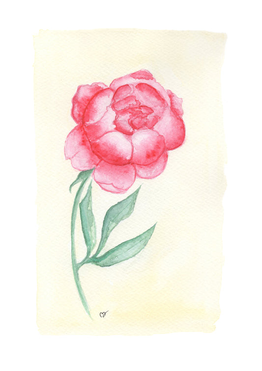 Pion