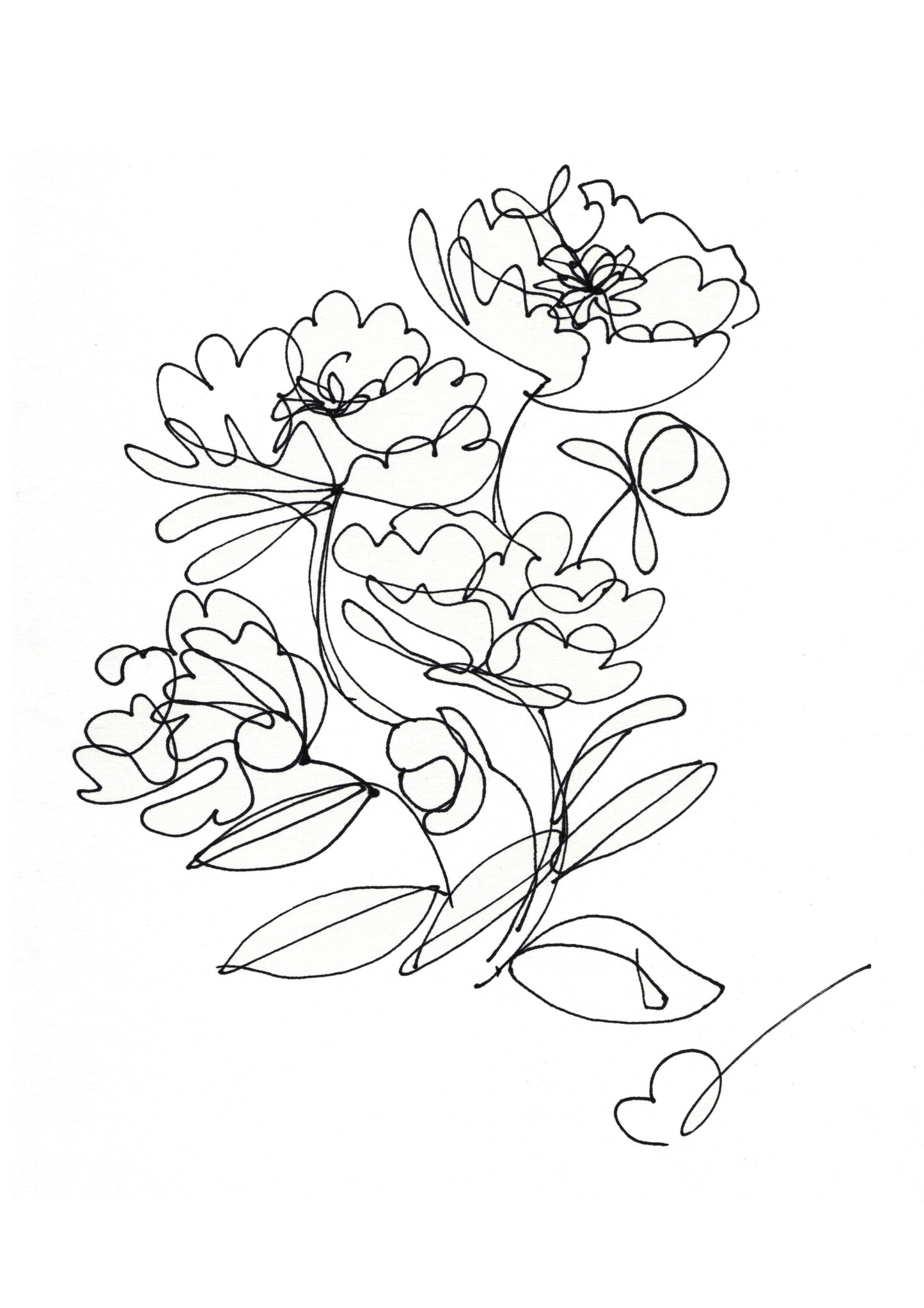 Line Art Pion