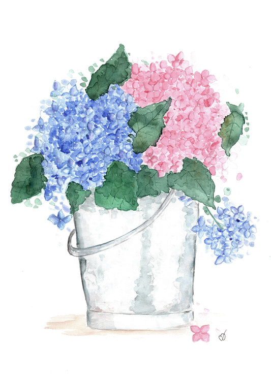 Hortensia