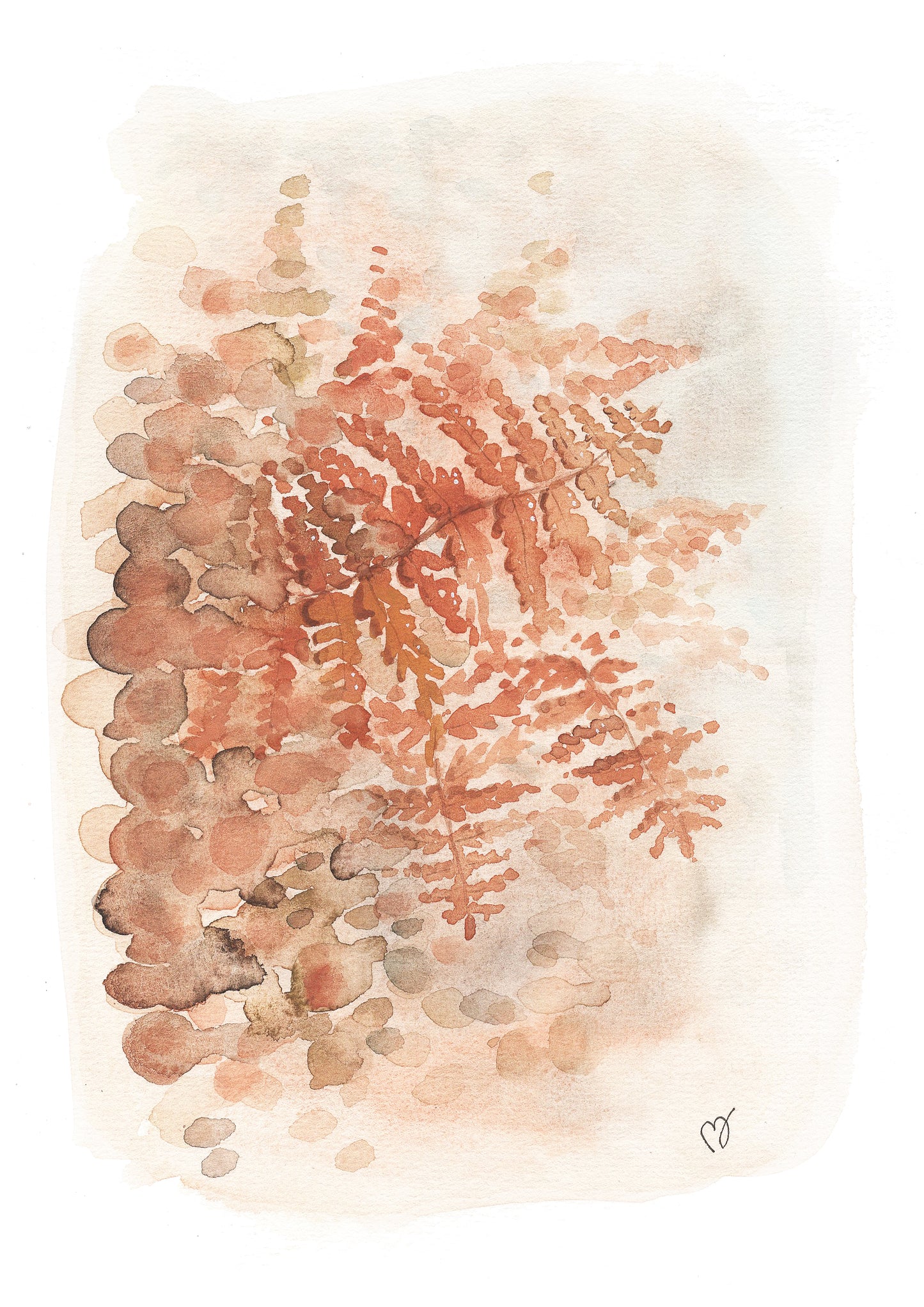 Forest Fern
