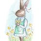 Miss Lucy Rabbit