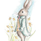 Mr Ebony Bunny