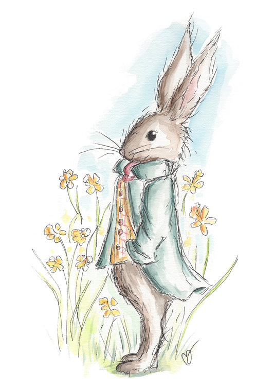 Mr Ebony Bunny