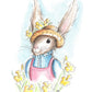 Mrs Alice Rabbit