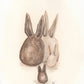 Niiner