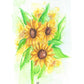 Solrosor