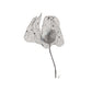 Physalis 2