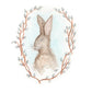 Hare