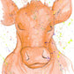 Pop Art Cow (Orange)